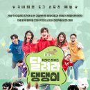 애니펫 이미지