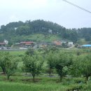 신송3리 이미지