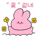 삼오필름