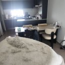 미미네강아지 | 대구 소파 청소 내돈내산 업체 후기 " 비치움 동대구대리점" 숨고 이용