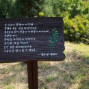 구례의 휴일 이미지