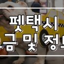 세이프애니펫 이미지