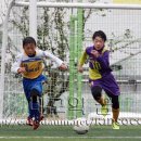 이리동산초교 이미지