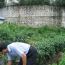 평강농장 이미지