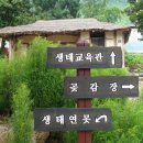 하얀민들레마을 이미지