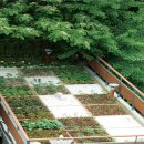 인성농장 이미지