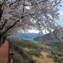 운문댐하류보4 이미지