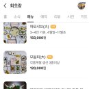 회초랑 이미지