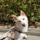 안곡로159번길 이미지