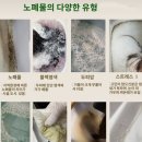 헬렌뷰티
