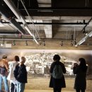 함개하자냥 이미지