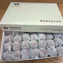 백석문화대학교 이미지