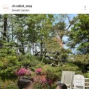 4876 | W.<오래빗스냅> 까사그랑데 밝은홀 10만원대 가성비 아이폰스냅 계약후기 (짝꿍코드/추천인)