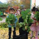 서촌초교 병설유치원 이미지