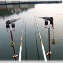 블랙세인트 이미지