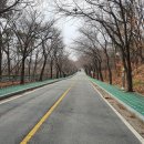 중앙동251 이미지