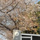 새마을세탁소 이미지