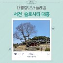 대흥 은행나무길 | 교촌마을 슬로시티 예산 대흥 향교와 은행나무 원홍장 둘레길