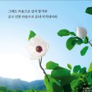 박노해 걷는독서 중 이미지