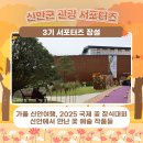 2025년 국제꽃장식대회 | 💐가을 신안여행, 2025 국제 꽃 장식대회 신안에서 만난 꽃 예술 작품들