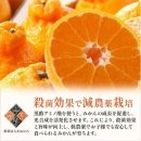 대지로2L 이미지