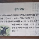 대대박흑염소집