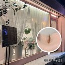 미미속눈썹 🌷 미아사거리 속눈썹펌 시술 후기