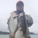 천리포항 이미지