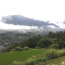지리산황치마을영농조합법인 이미지