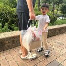 대박과일야채 - 광진구 천호대로111길 9 | 대박과일야채