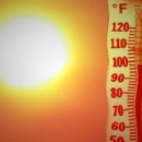 (주)화의 이미지