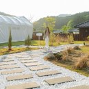 스테이펫 이미지