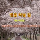 김해터널(부산) 이미지