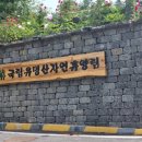 국립유명산자연휴양림(일반)