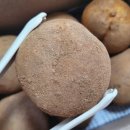 용동길 | 포슬포슬 수미감자 강원도 정선 노지 햇감자 추천 (feat. 두백감자 뜻 )