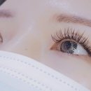 미례속눈썹