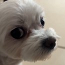 주부열창 | 저의일상을봐주시겠습니까?