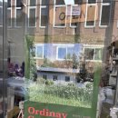 오디너리 가든 이미지