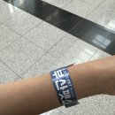 (주)모인 | 부산 벡스코에서 열린 부산펫쇼 2025 후기, 반려견 필수템 다 모인 박람회 현장