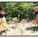 태산드라이크리닝 이미지