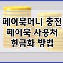 페이북머니 충전 | 페이북 결제 | 페이북머니사용처 및 현금화 방법