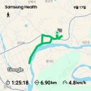 큰아들이무용이네벌초를먼저하고온다고해예취기로가족묘원진입로증조부님봉분와비주변양쪽언덕풀을베는중비가내려중지 만보인증♡사백만보달성14,070보 이미지