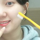 천연 | 오미풀 천연치약 후기, 잇몸에좋은치약 으로 건강하게 양치했어요