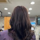 왕가위 헤어모드 & The-붙임머리