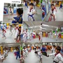 용인대 다한 태권도장 이미지