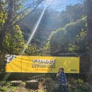 포마자동차디자인미술관 | 포마 원 디자인 그랑프리 무동력 모형차 레이싱대회 첫 참여하고 왔어요!