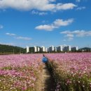 통뼈연가 이미지