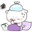 퍼피루미 이미지