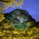 산 디지털 덴탈랩 | 여름 해외여행지 추천 일본 팀랩 전시 미후네야마라쿠엔 11월까지