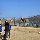 조류보호협회 밀양시지회 이미지